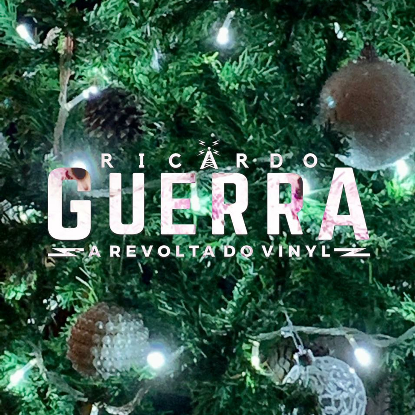 A REVOLTA do Vinyl | Ricardo Guerra