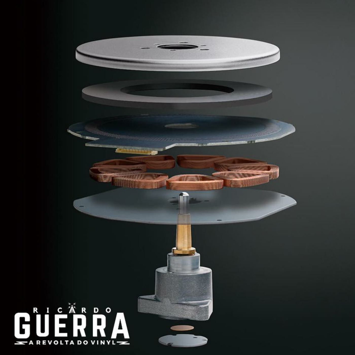 A REVOLTA do Vinyl | Ricardo Guerra