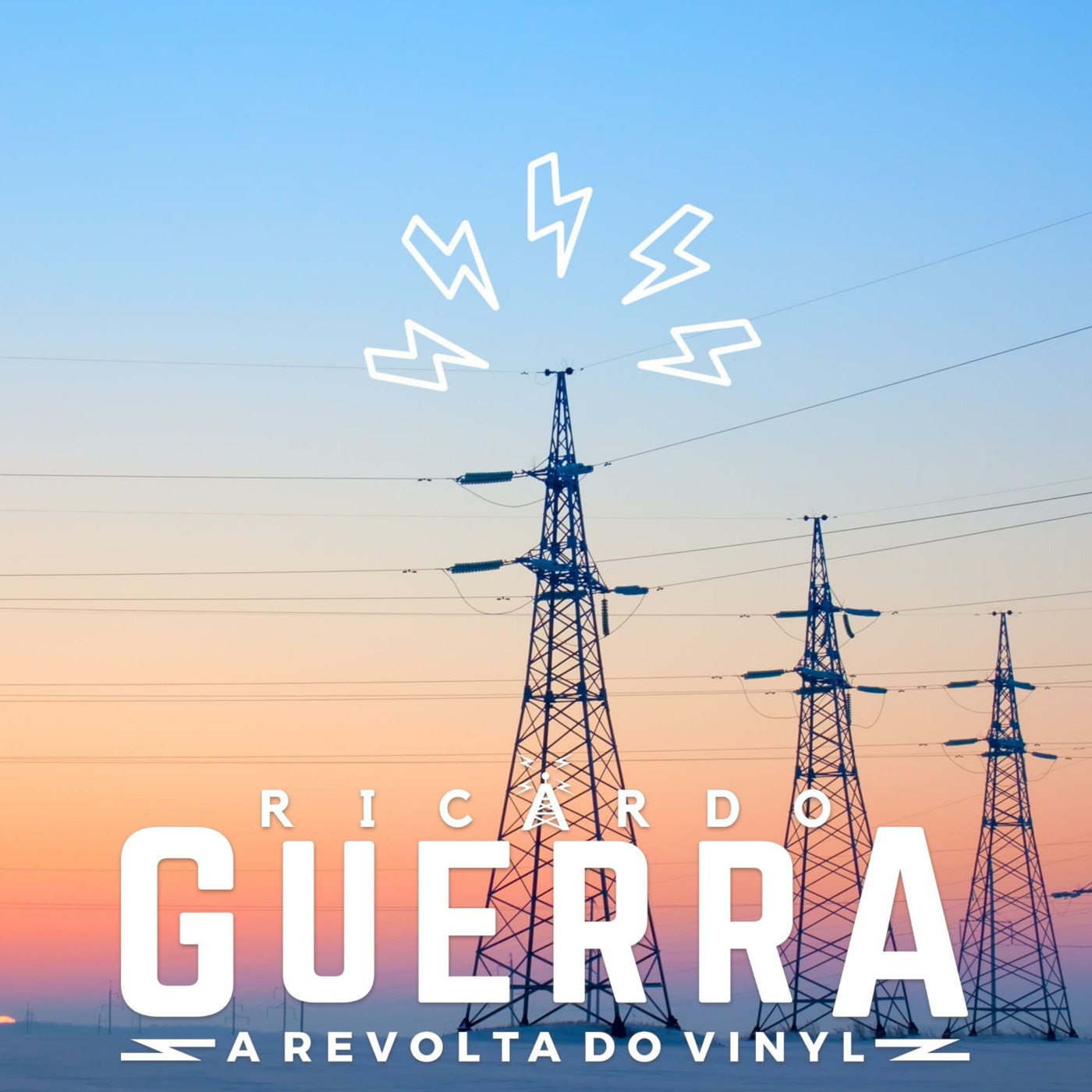 A REVOLTA do Vinyl | Ricardo Guerra