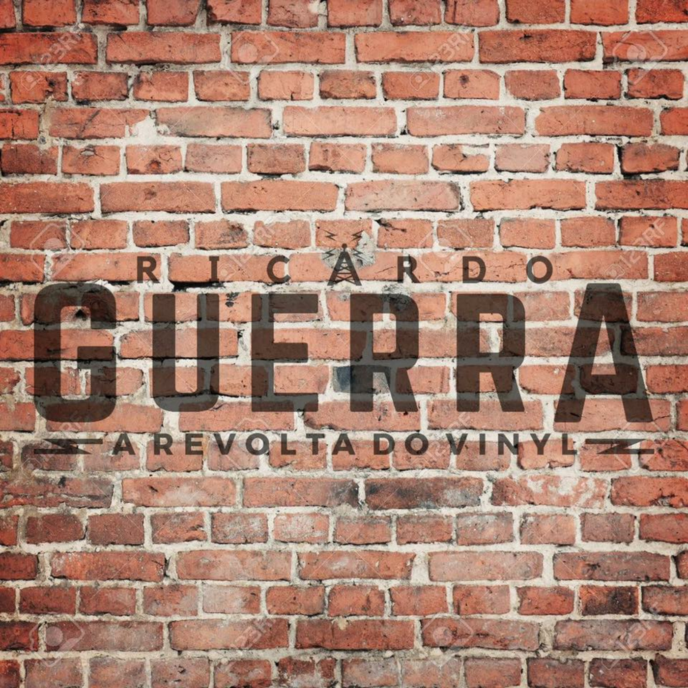 A REVOLTA do Vinyl | Ricardo Guerra