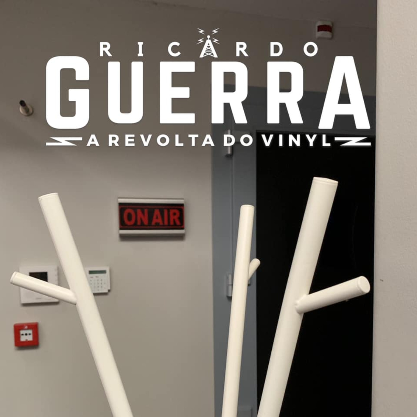 A REVOLTA do Vinyl | Ricardo Guerra