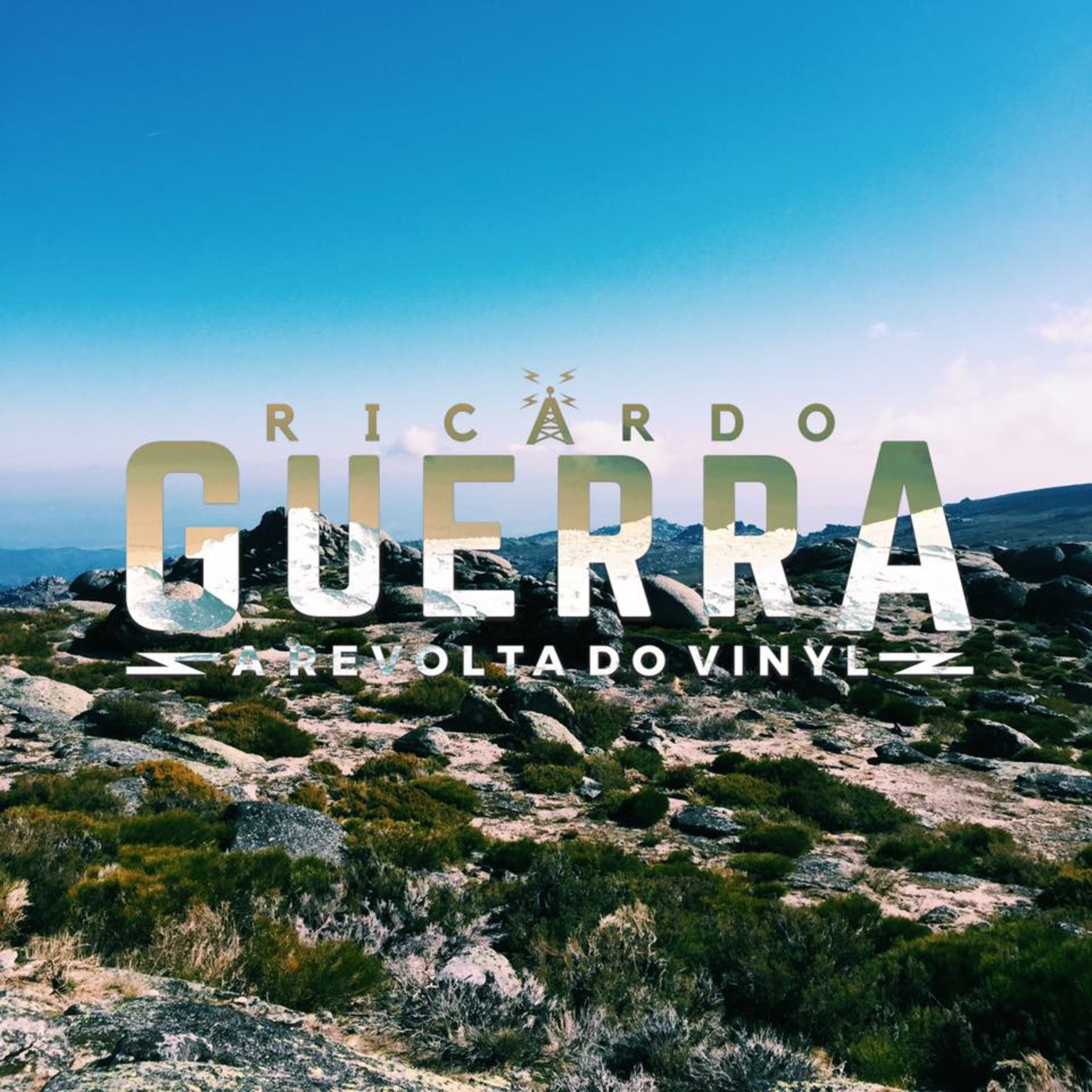 A REVOLTA do Vinyl | Ricardo Guerra