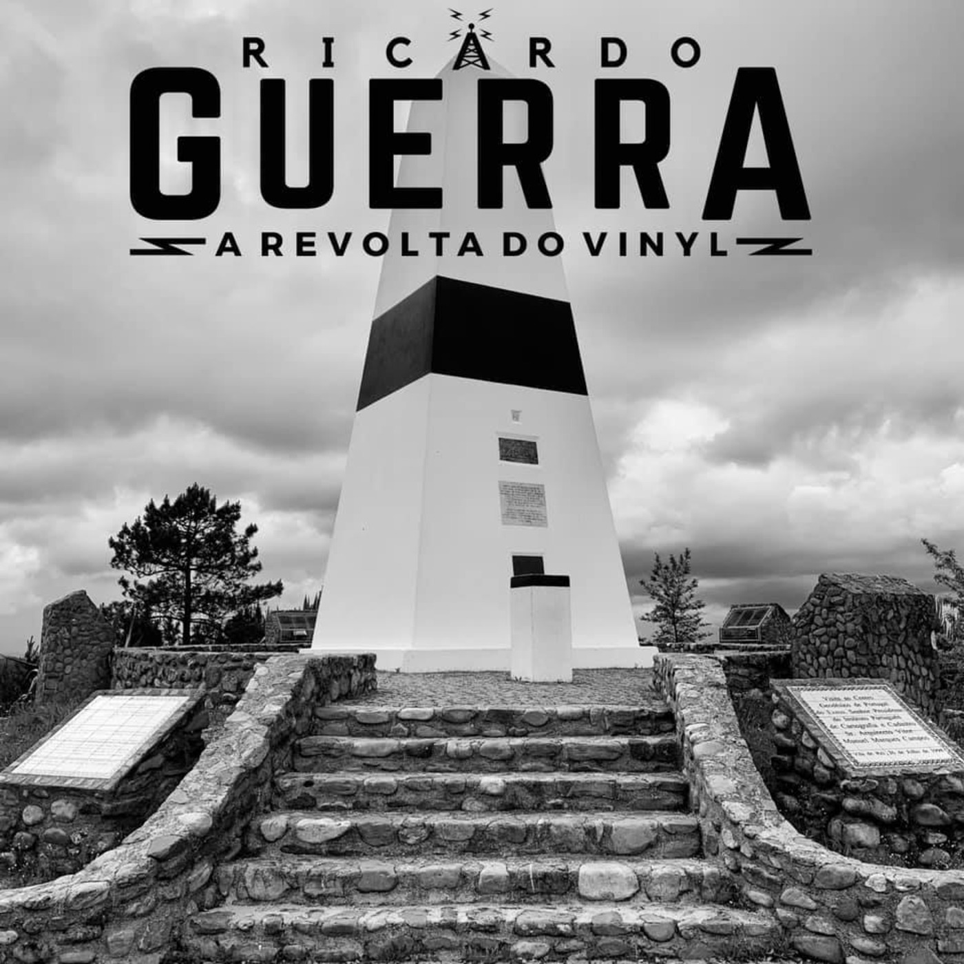 A REVOLTA do Vinyl | Ricardo Guerra