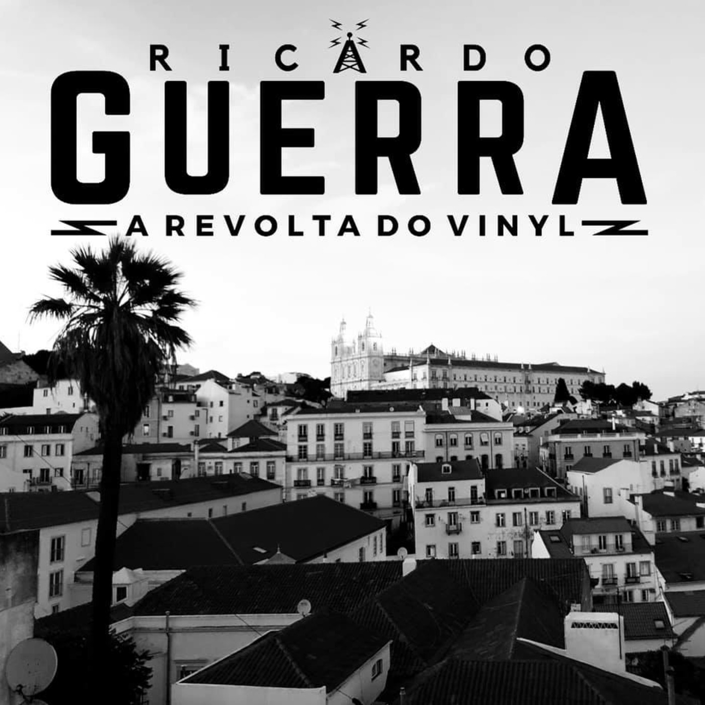 A REVOLTA do Vinyl | Ricardo Guerra