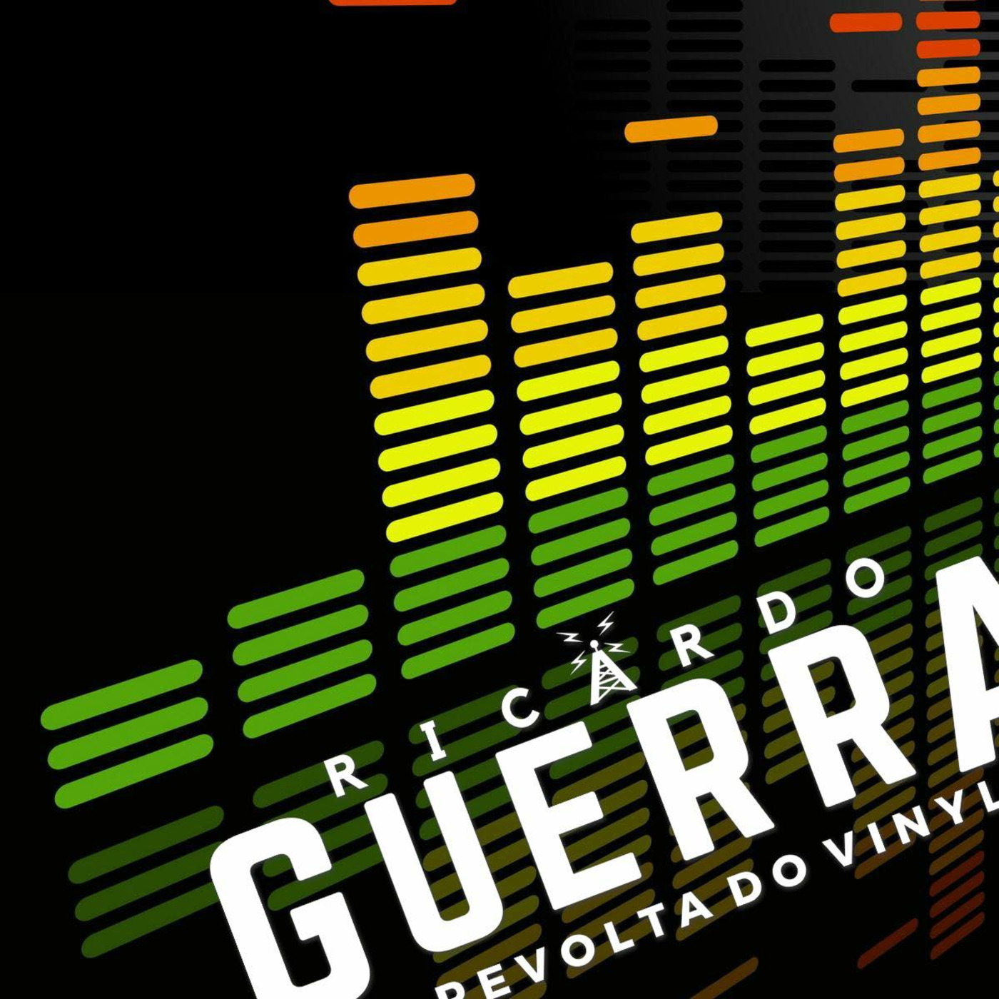A REVOLTA do Vinyl | Ricardo Guerra