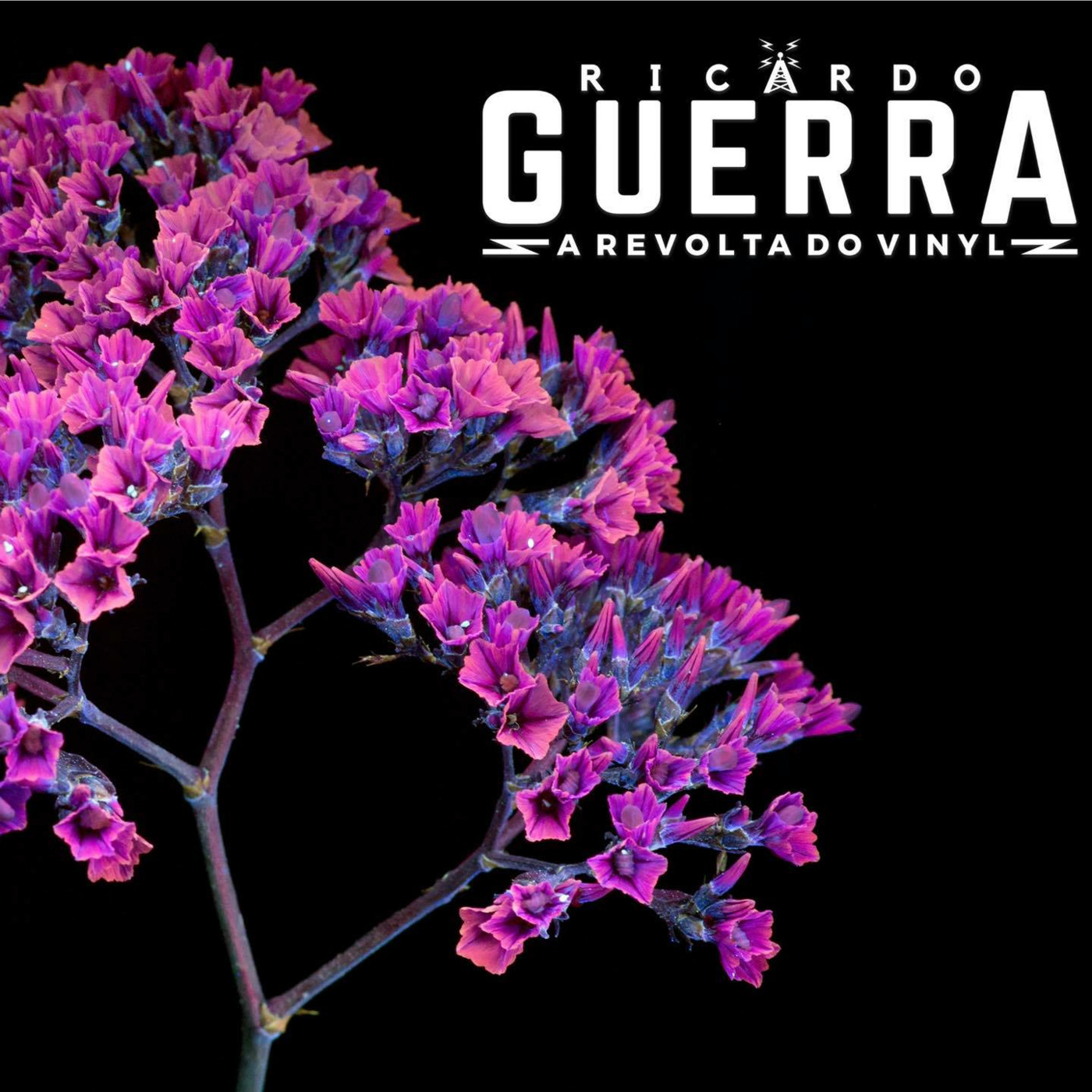 A REVOLTA do Vinyl | Ricardo Guerra