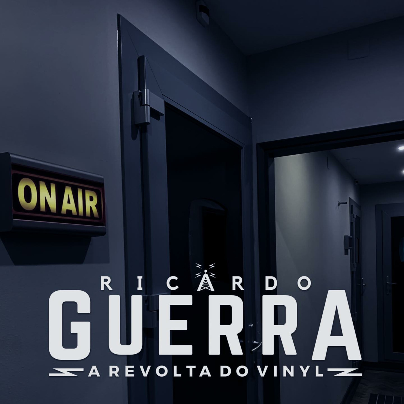 A REVOLTA do Vinyl | Ricardo Guerra