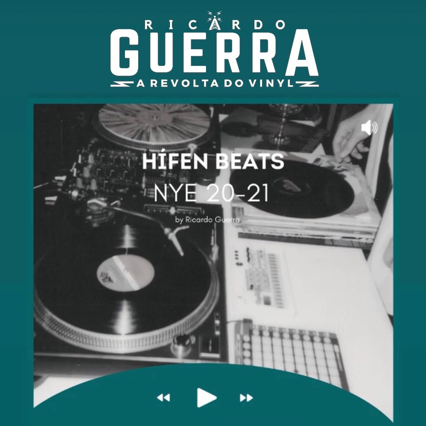 A REVOLTA do Vinyl | Ricardo Guerra