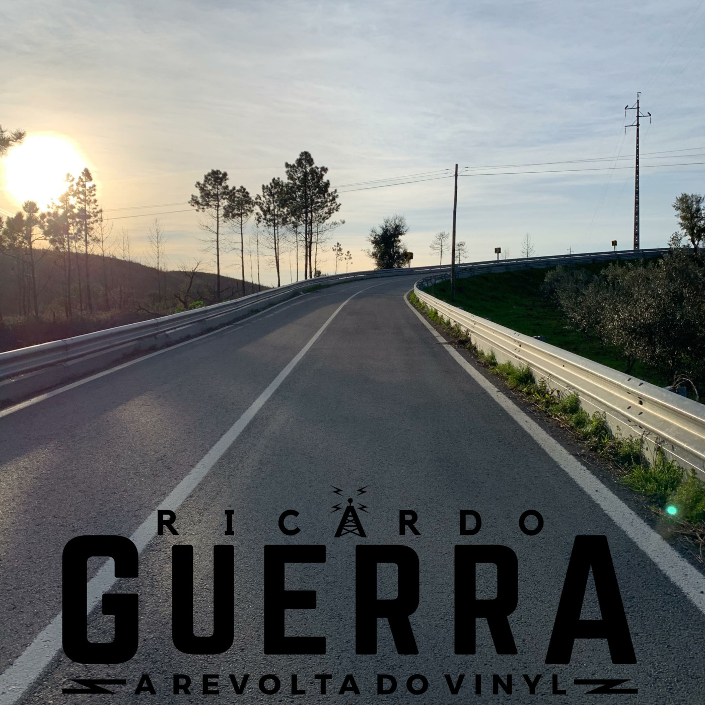 A REVOLTA do Vinyl | Ricardo Guerra