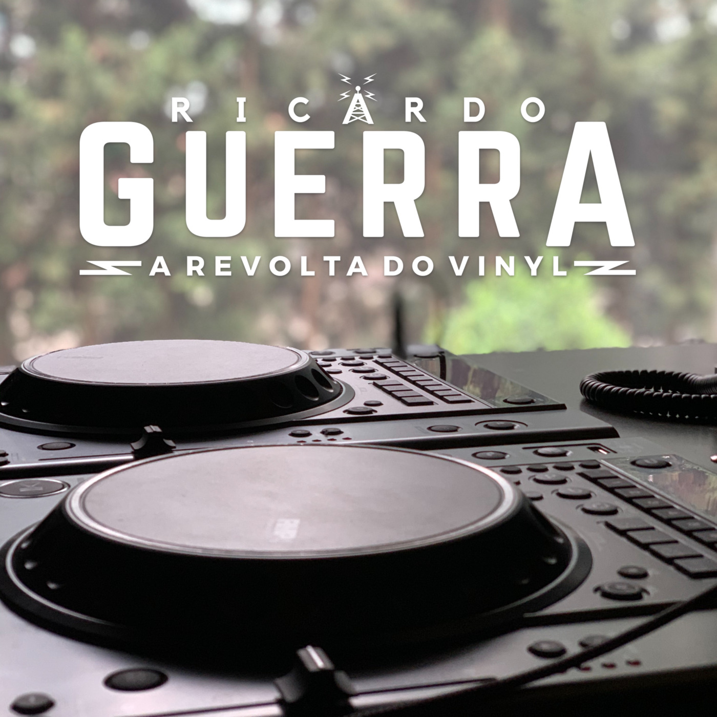 A REVOLTA do Vinyl | Ricardo Guerra