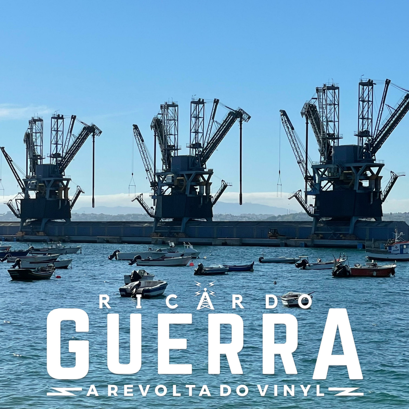 A REVOLTA do Vinyl | Ricardo Guerra