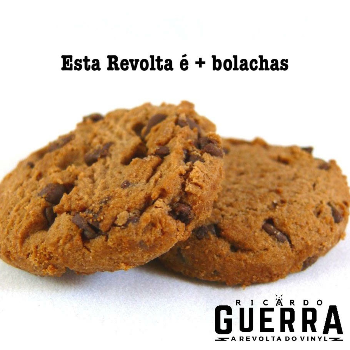 A REVOLTA do Vinyl | Ricardo Guerra