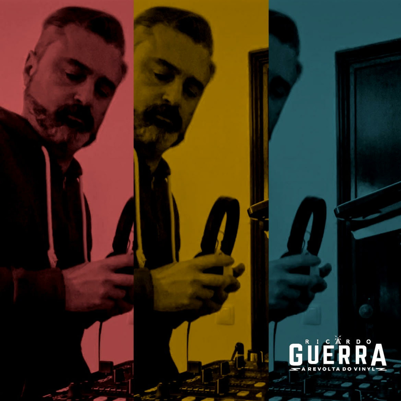 A REVOLTA do Vinyl | Ricardo Guerra