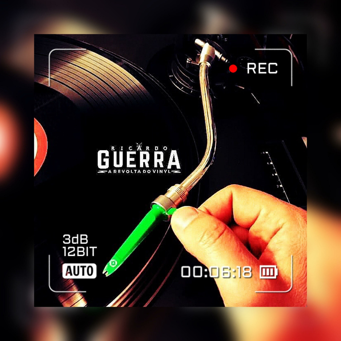 A REVOLTA do Vinyl | Ricardo Guerra