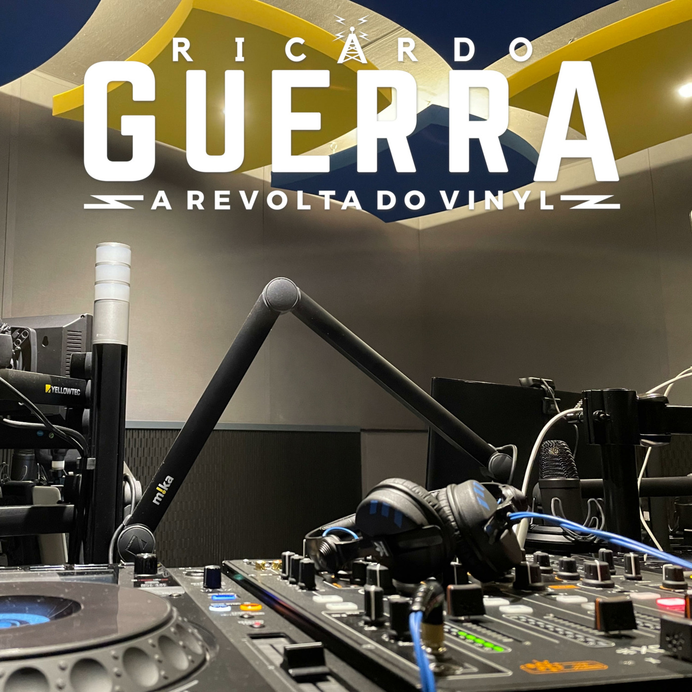 A REVOLTA do Vinyl | Ricardo Guerra