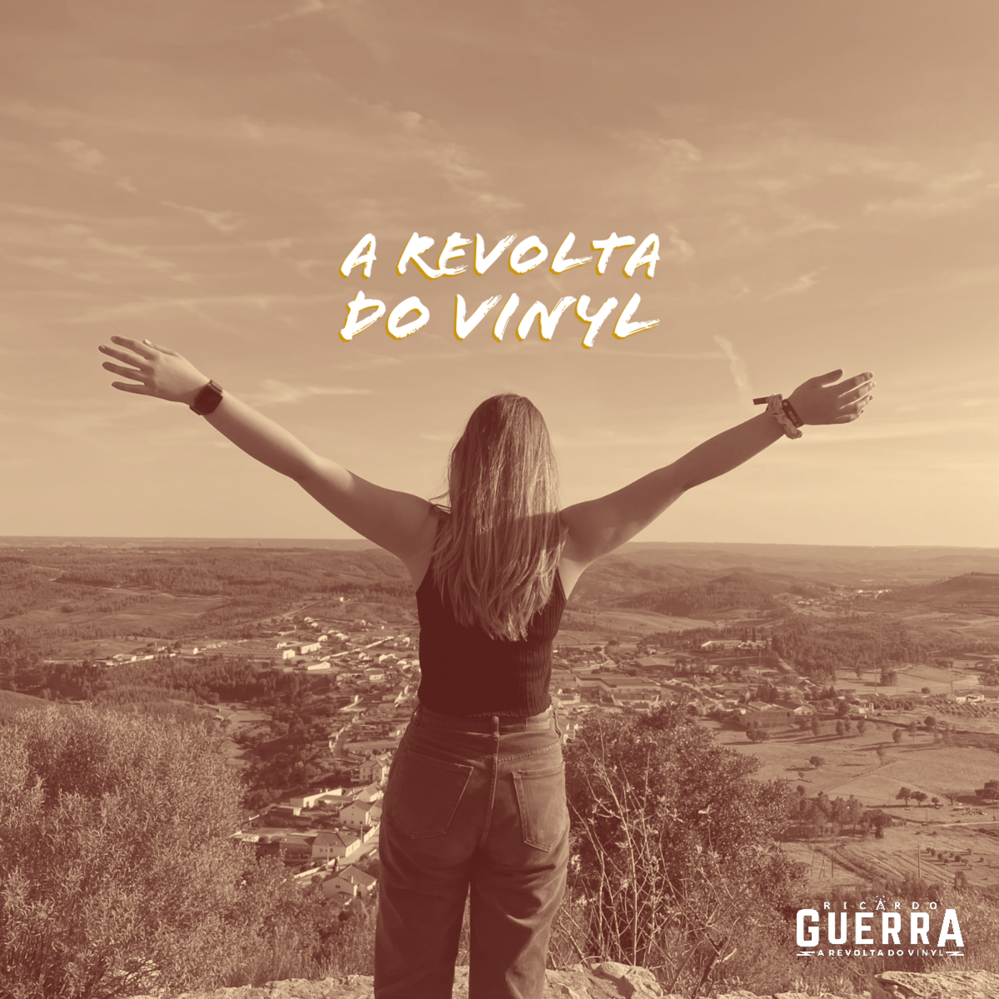 A REVOLTA do Vinyl | Ricardo Guerra