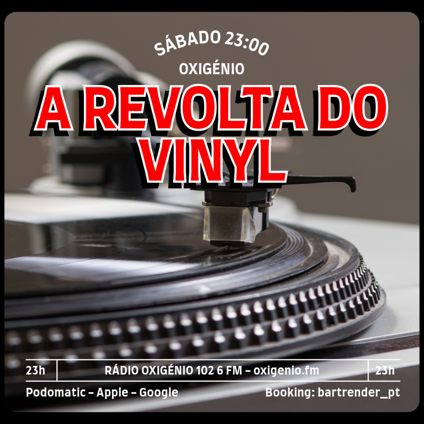 A REVOLTA do Vinyl | Ricardo Guerra