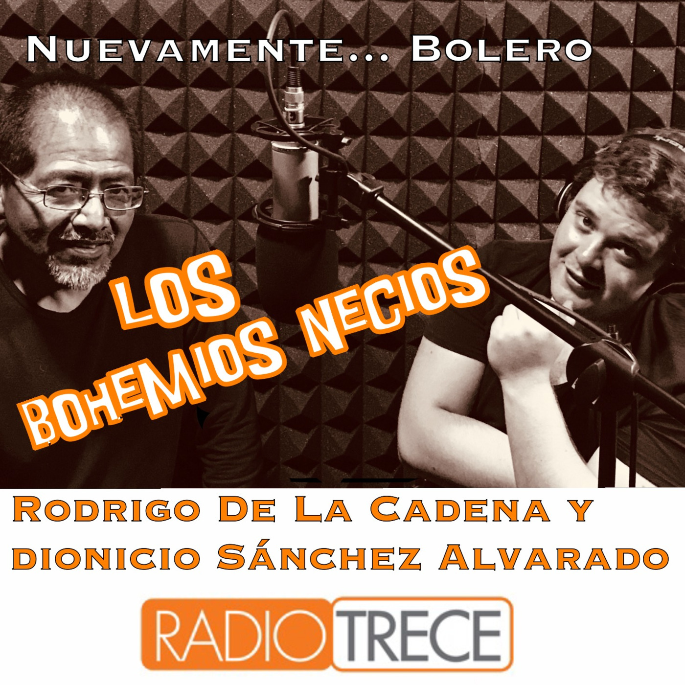 Los bohemios necios