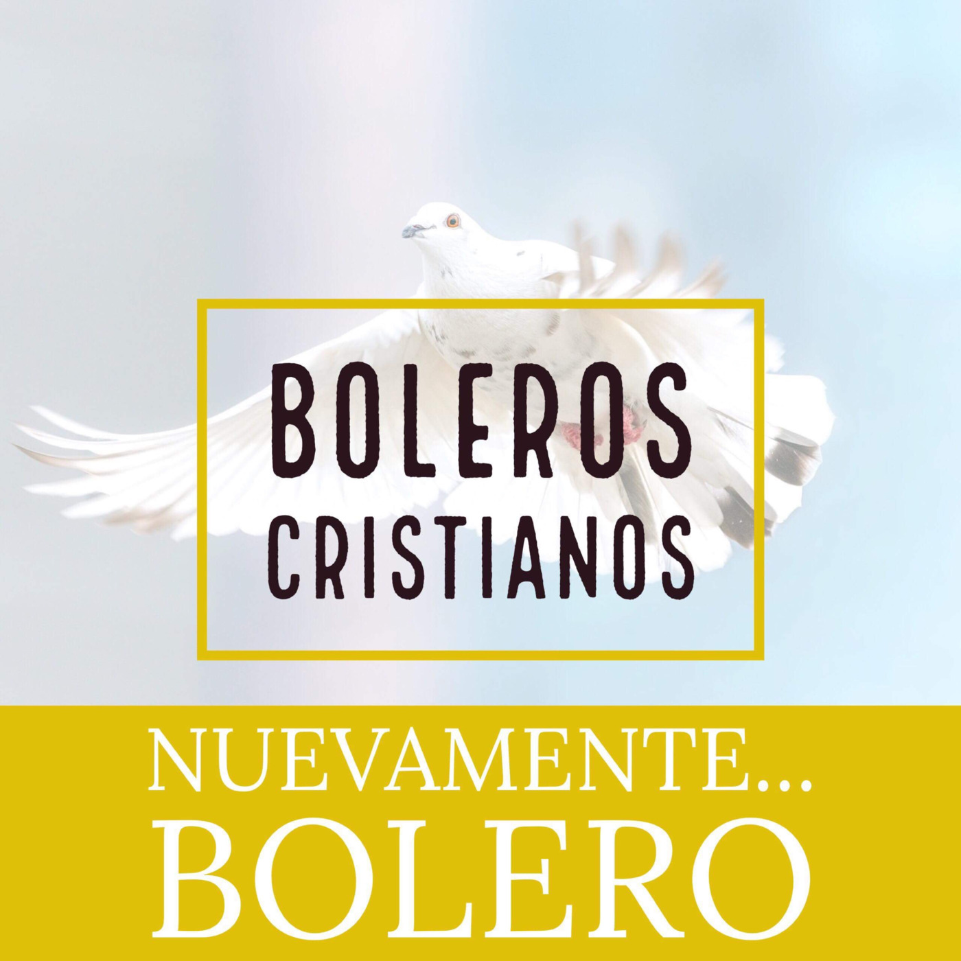 Los bohemios necios