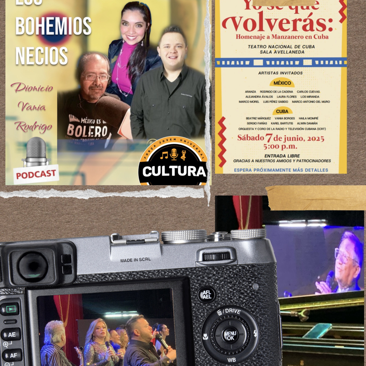 Los bohemios necios