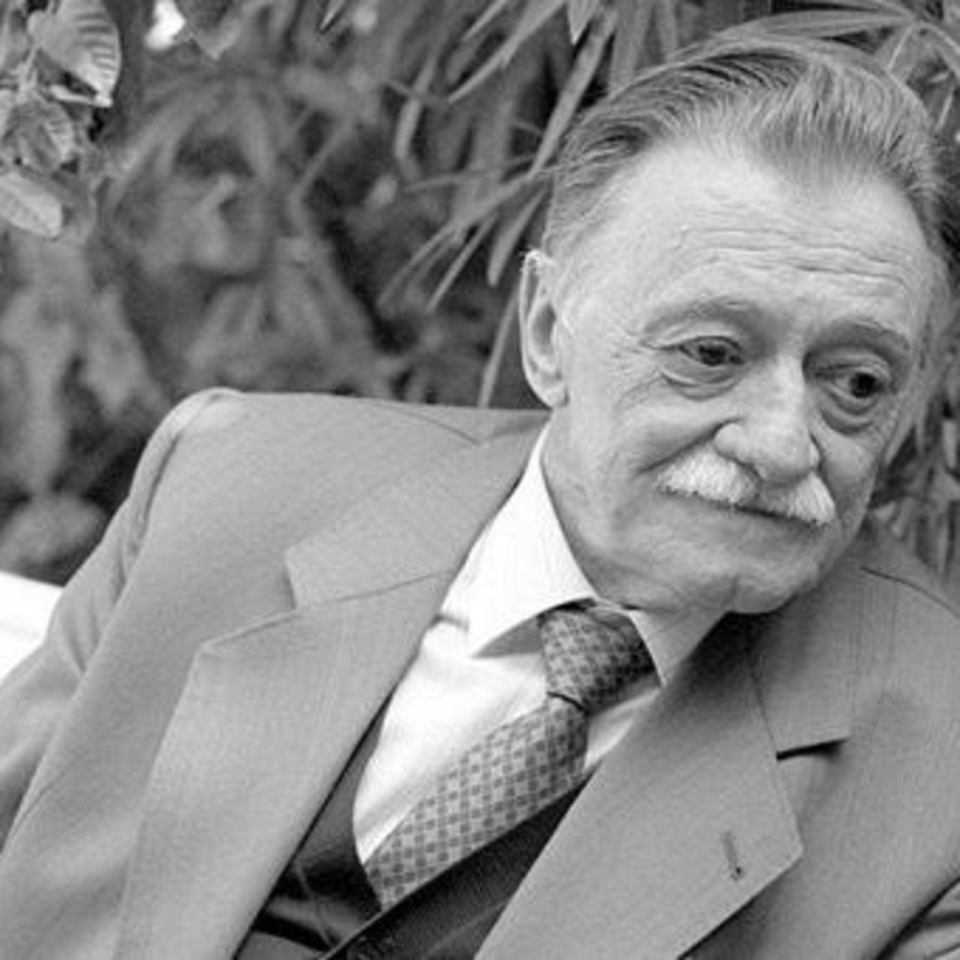 Los bohemios necios