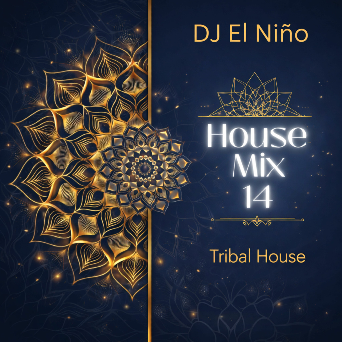 Episode 94: DJ El Niño - House Mix 14 (Mantra, With You, Mundane To Bach Ke, Calabria, Tokyo Drift, Haath Varti, Obsessed) episode artwork