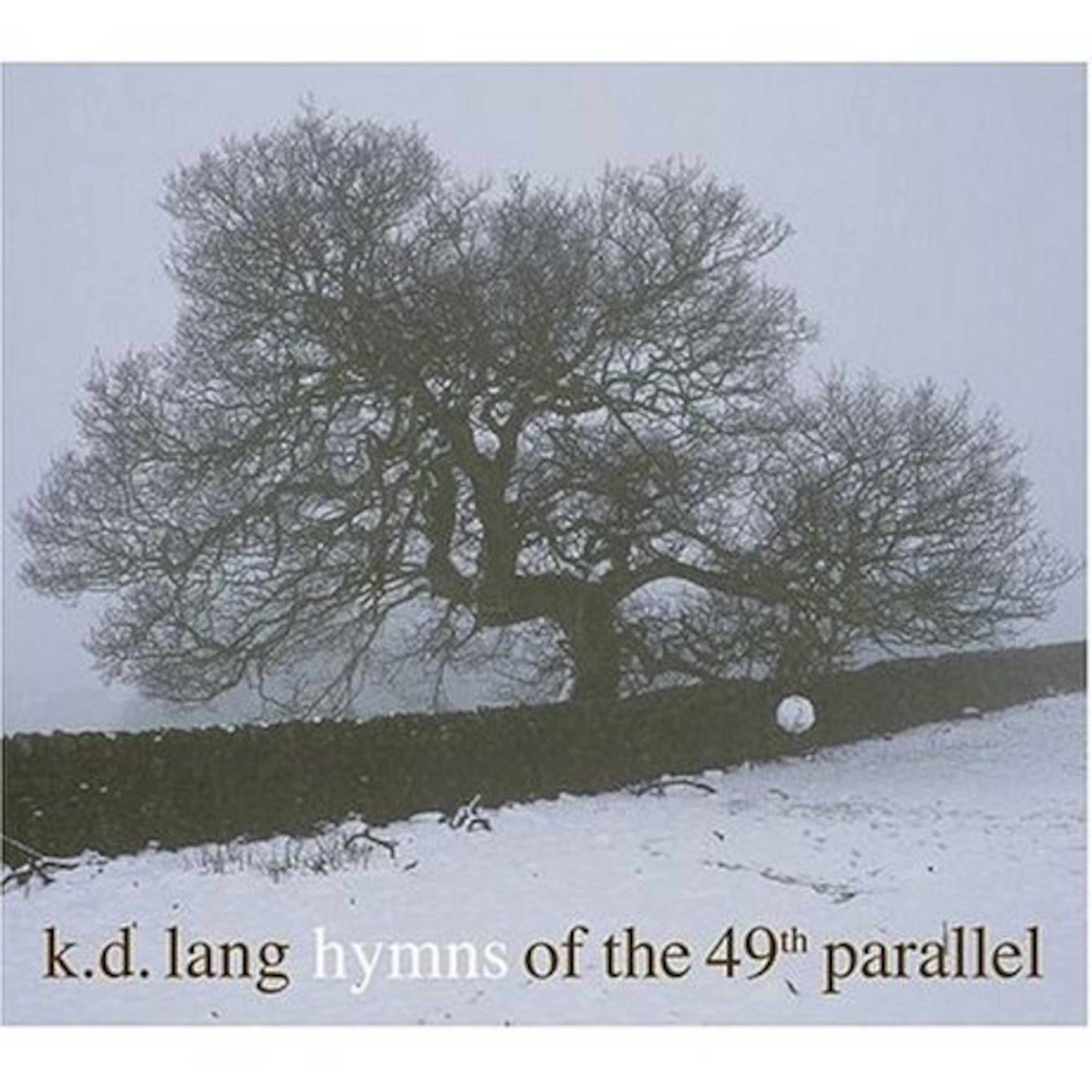 Bird on a wire - kd lang