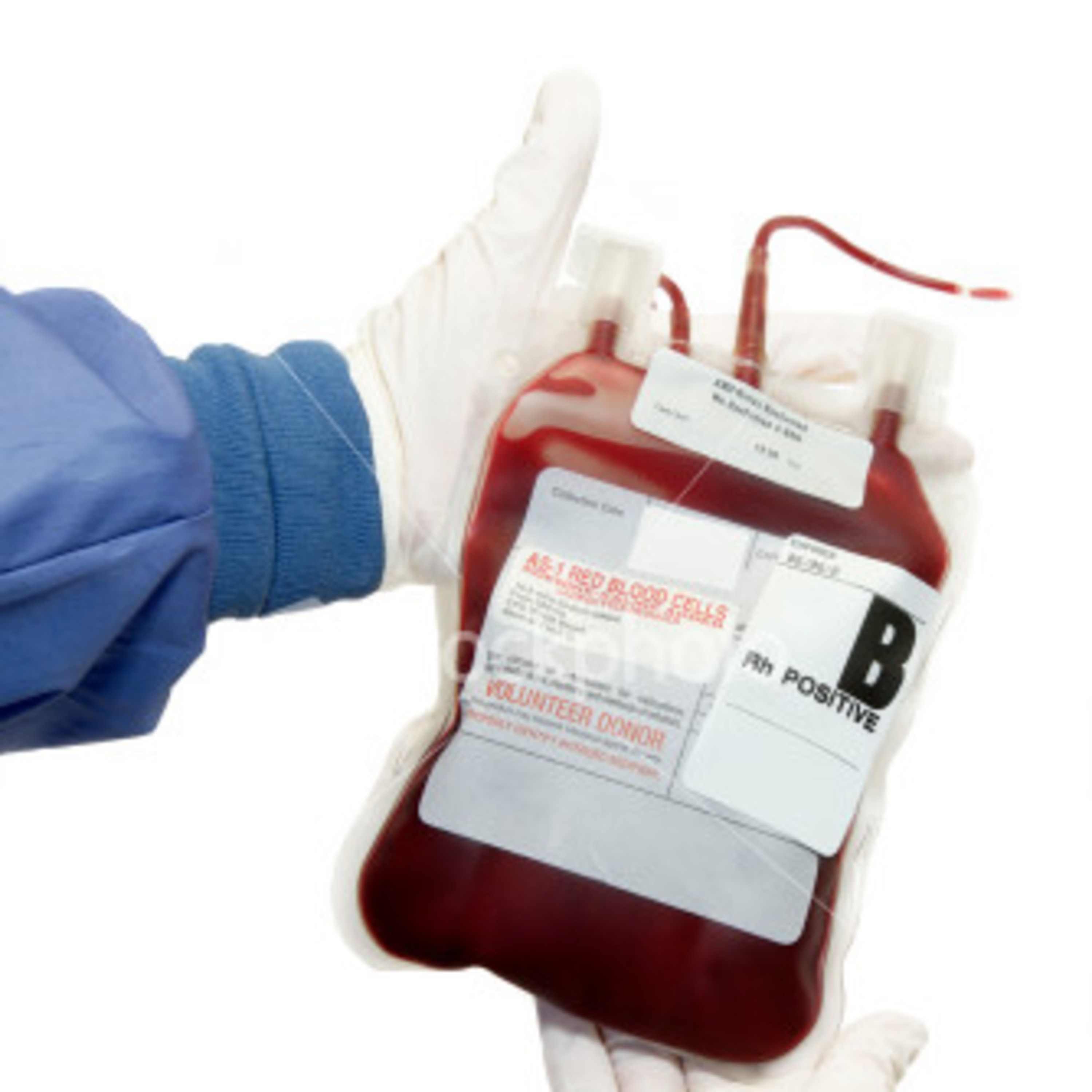 Platelet Disorders (03.01.10) Platelet Disorders (03.01.10)