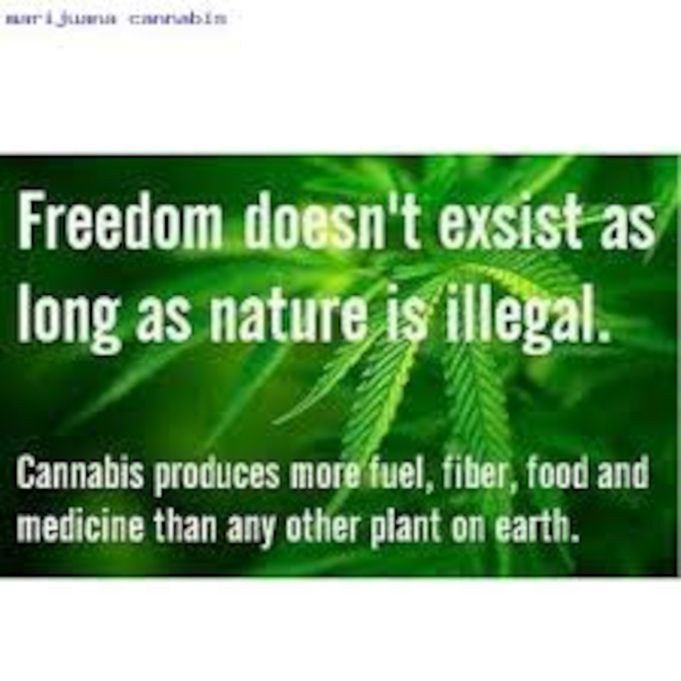 Hemp Radio