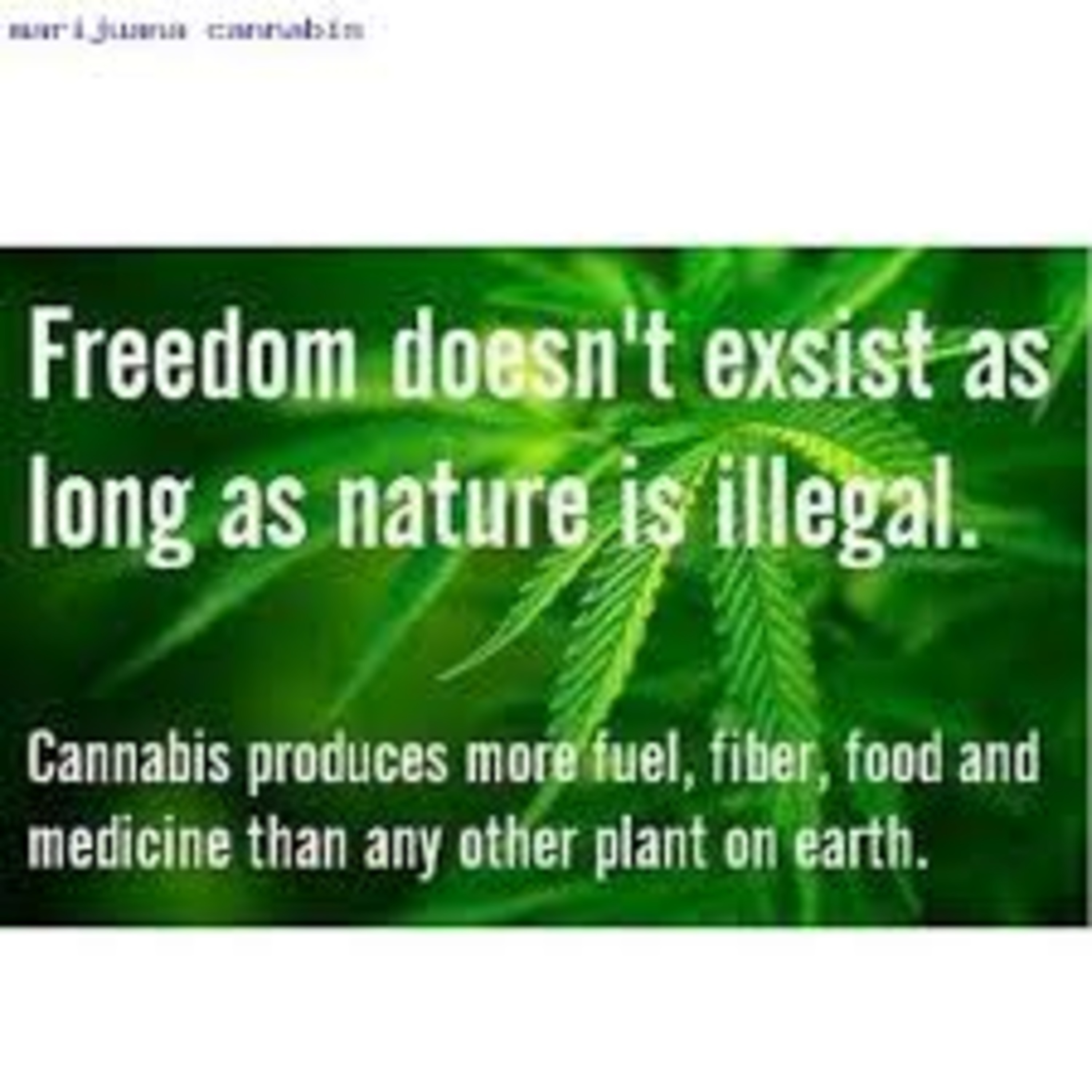 Hemp Radio