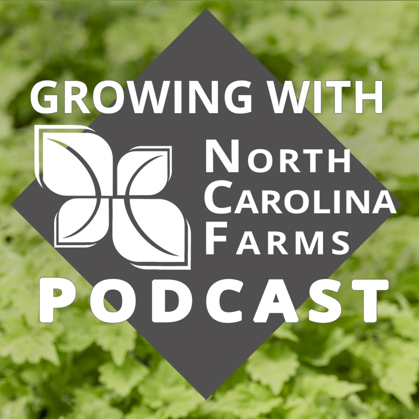 Growing With North Carolina Farms