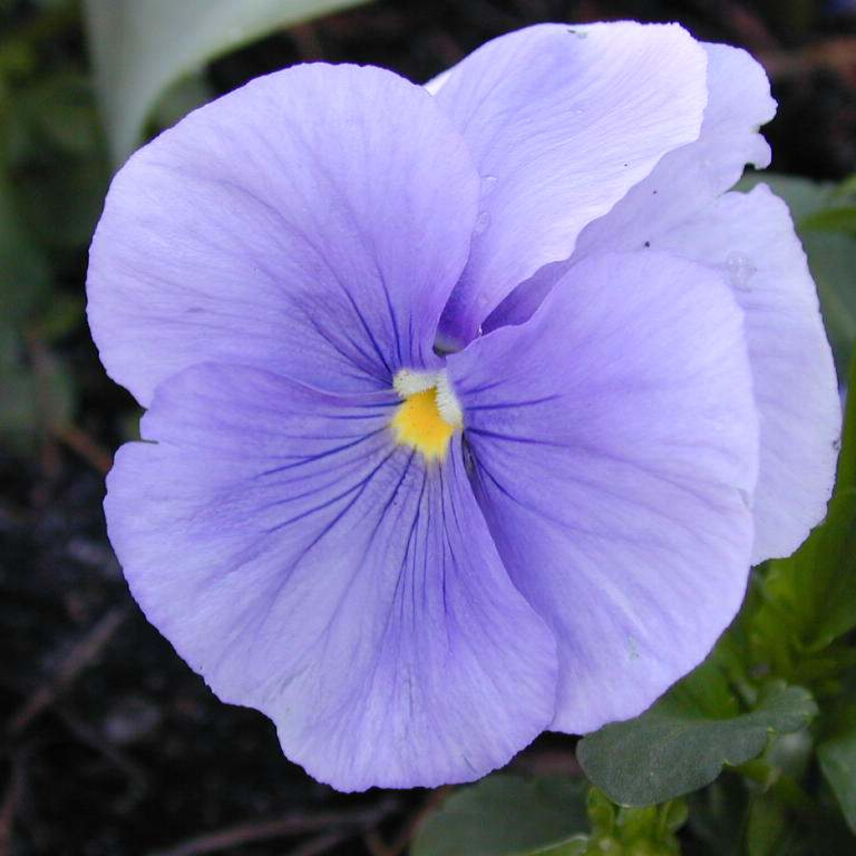 Vale, me quiero iiiiiiir!