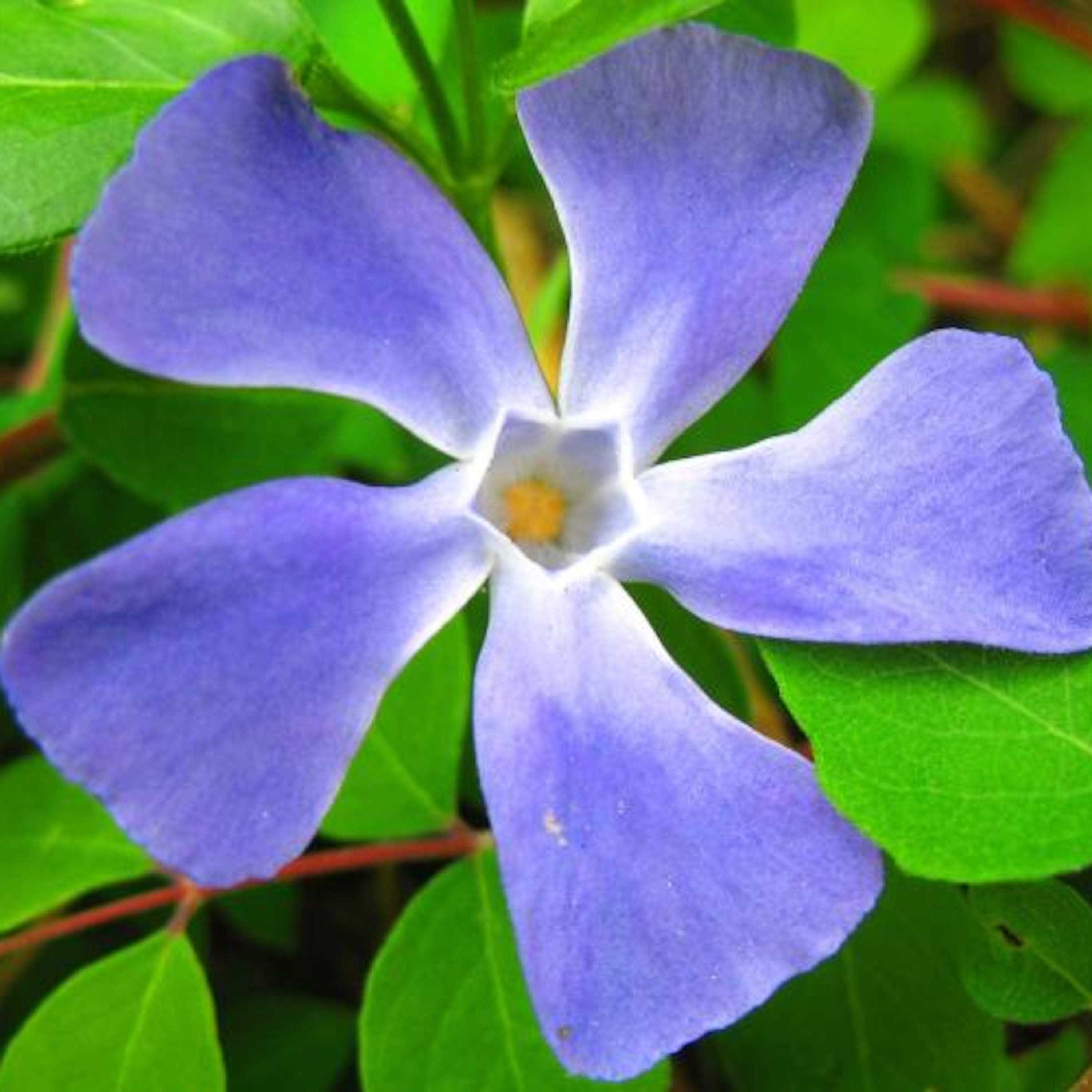 Cuestión de números