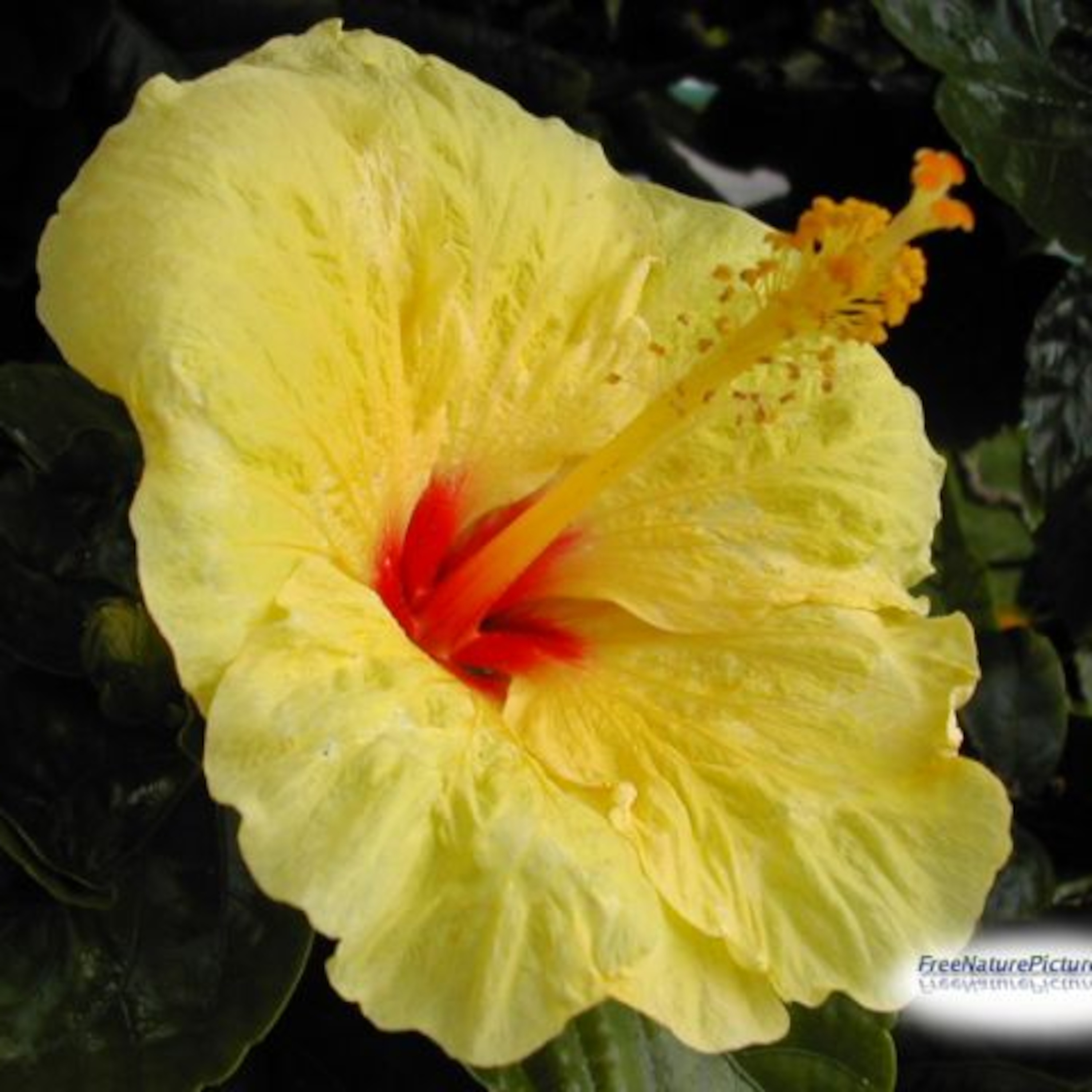 Las tecnologías y las relaciones