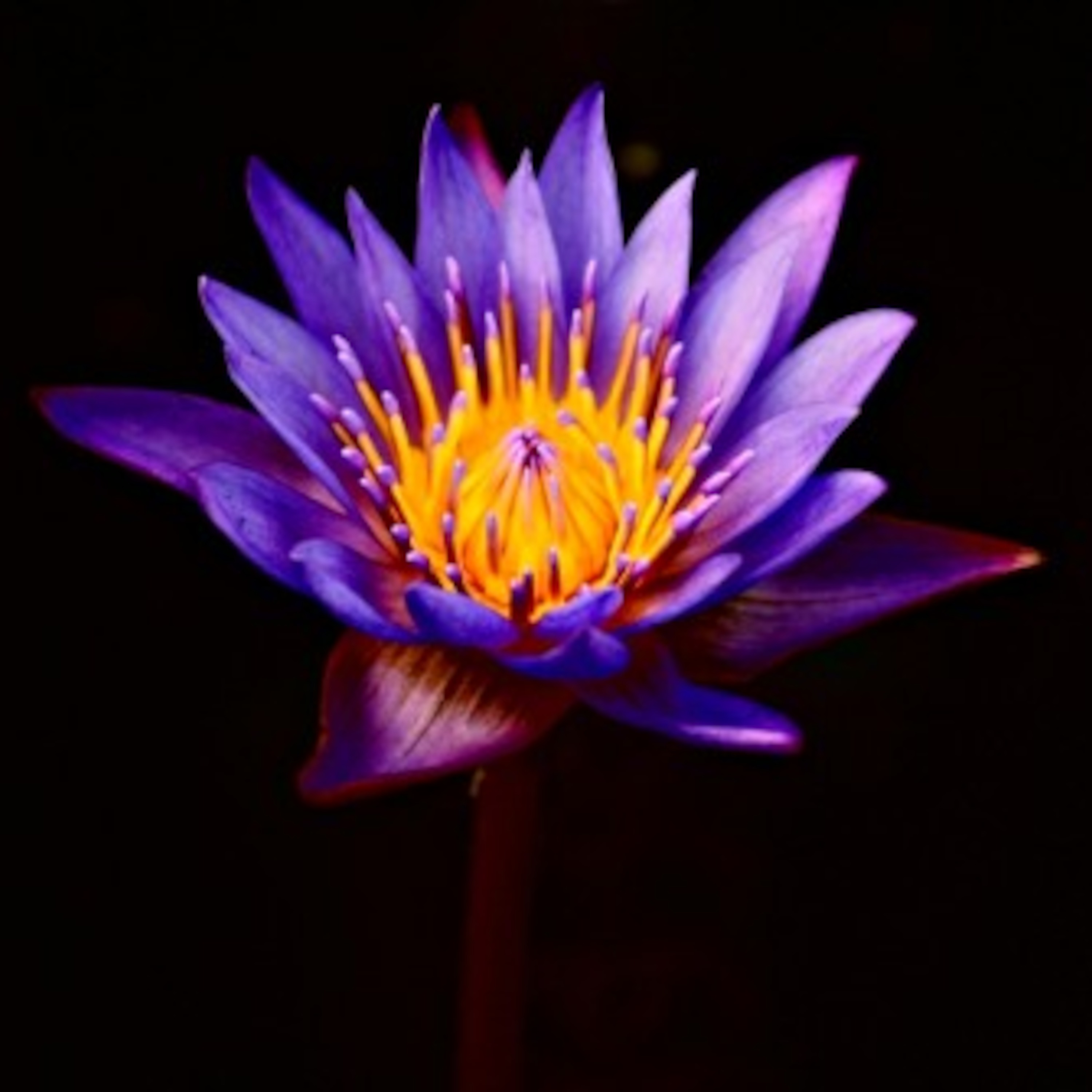 El encanto de los 30