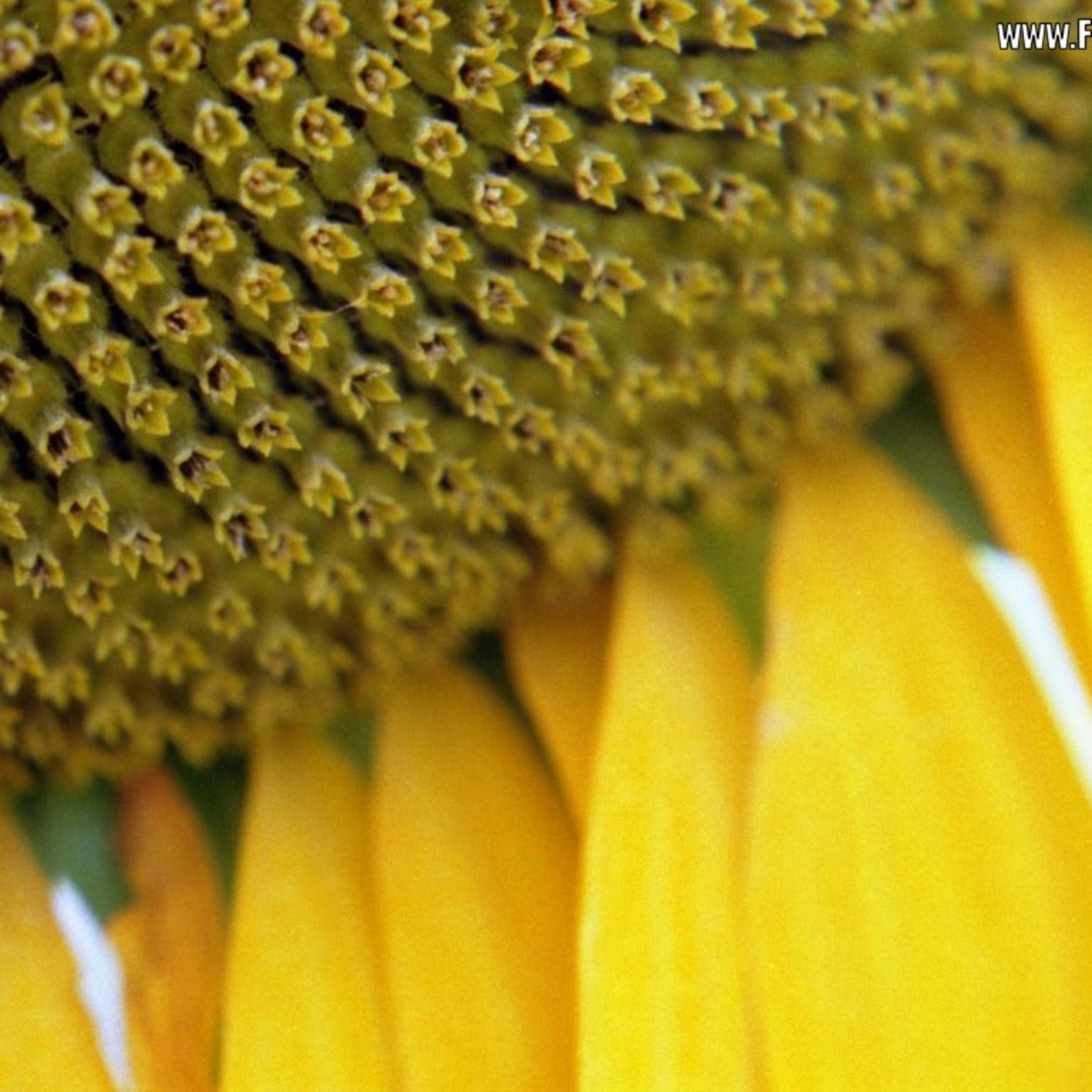 El dinero, ¿importa o no importa?