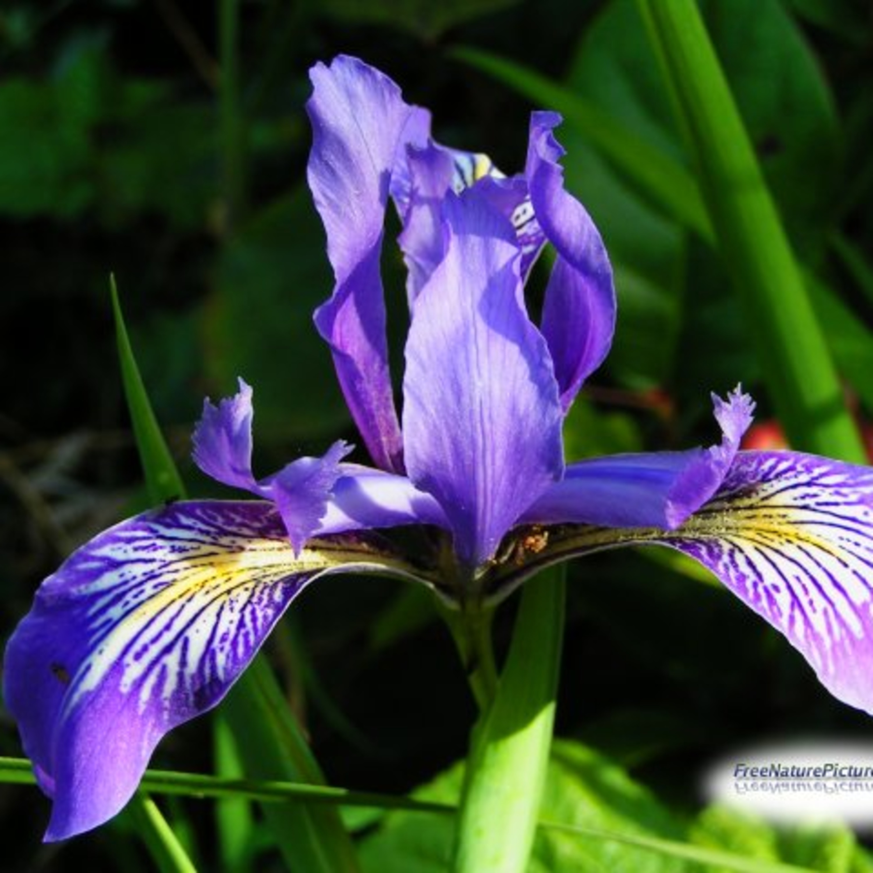 Los propósitos de Nuevo año