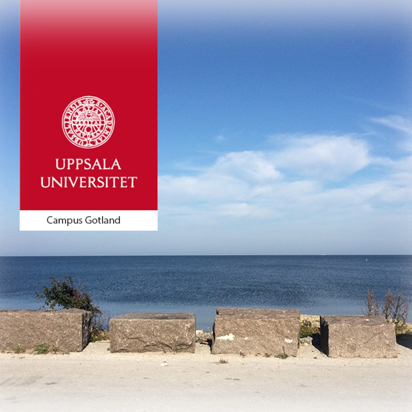 E-learning Campus Gotland