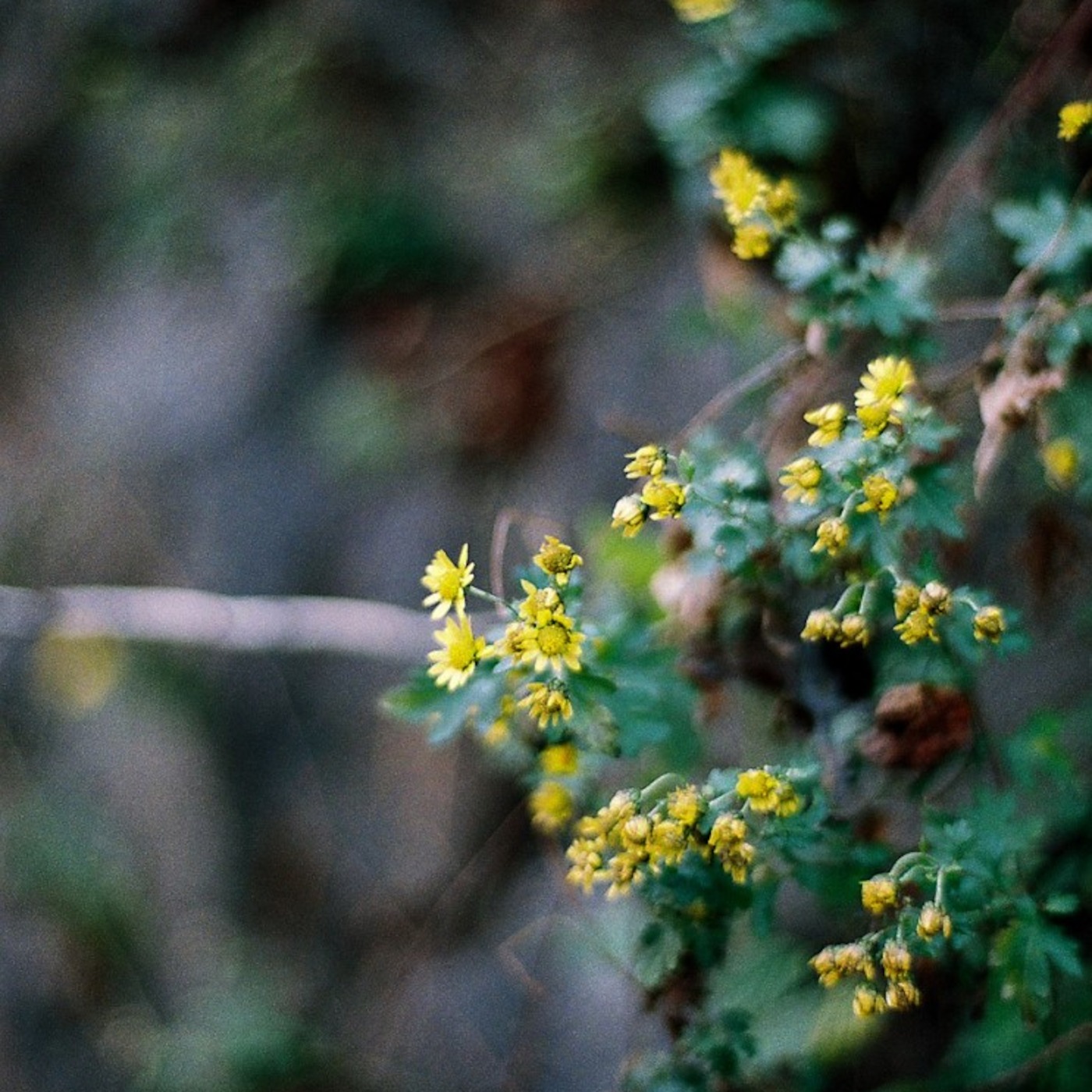 Jukerman\'s Media Lab