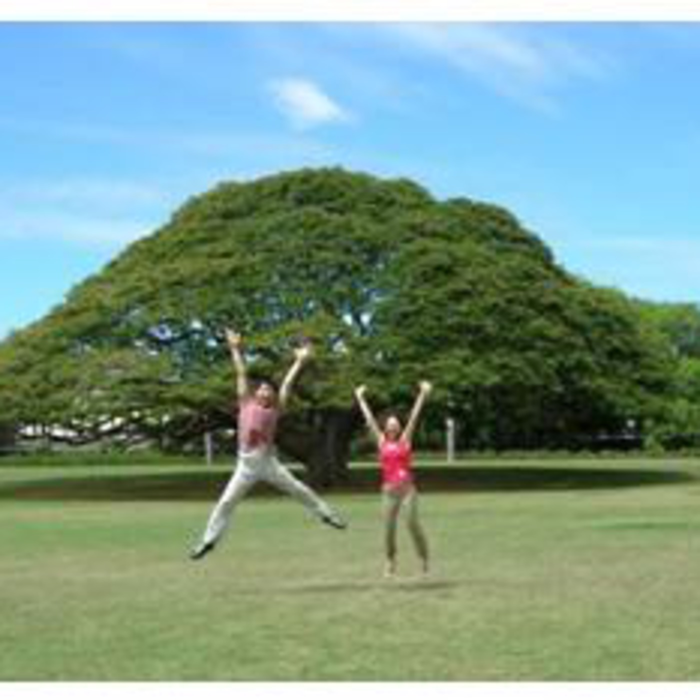 Sing the corporate Japan Happy Tree song! episode artwork