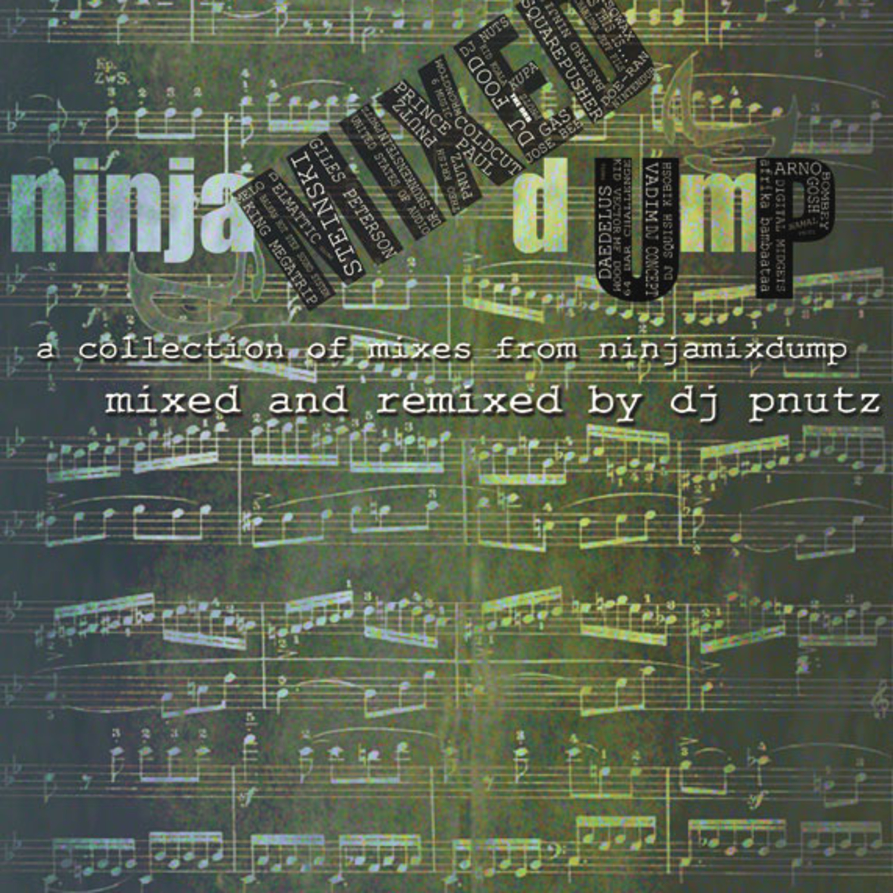 Ninja Mixed Dump Project