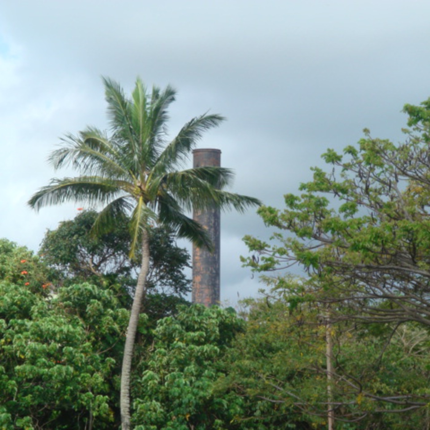 Hawaiian Playlist