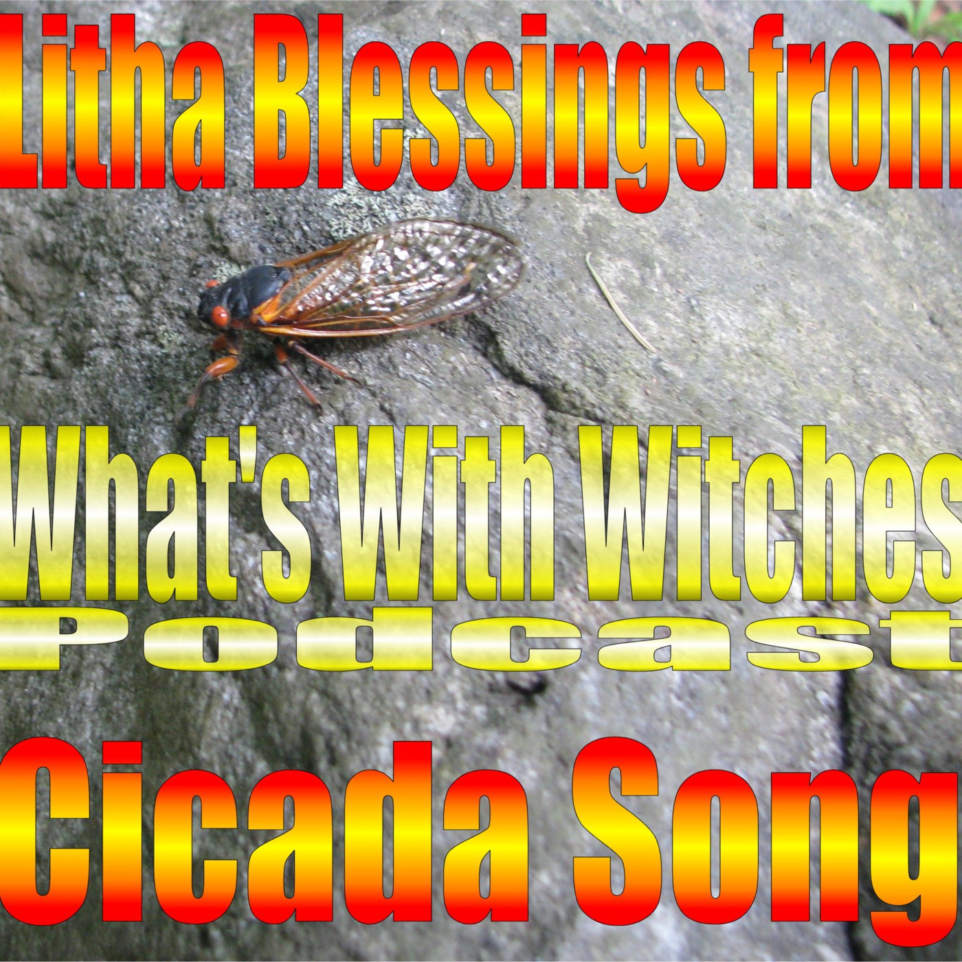 What's With Witches - Cicada Song - Litha Gift