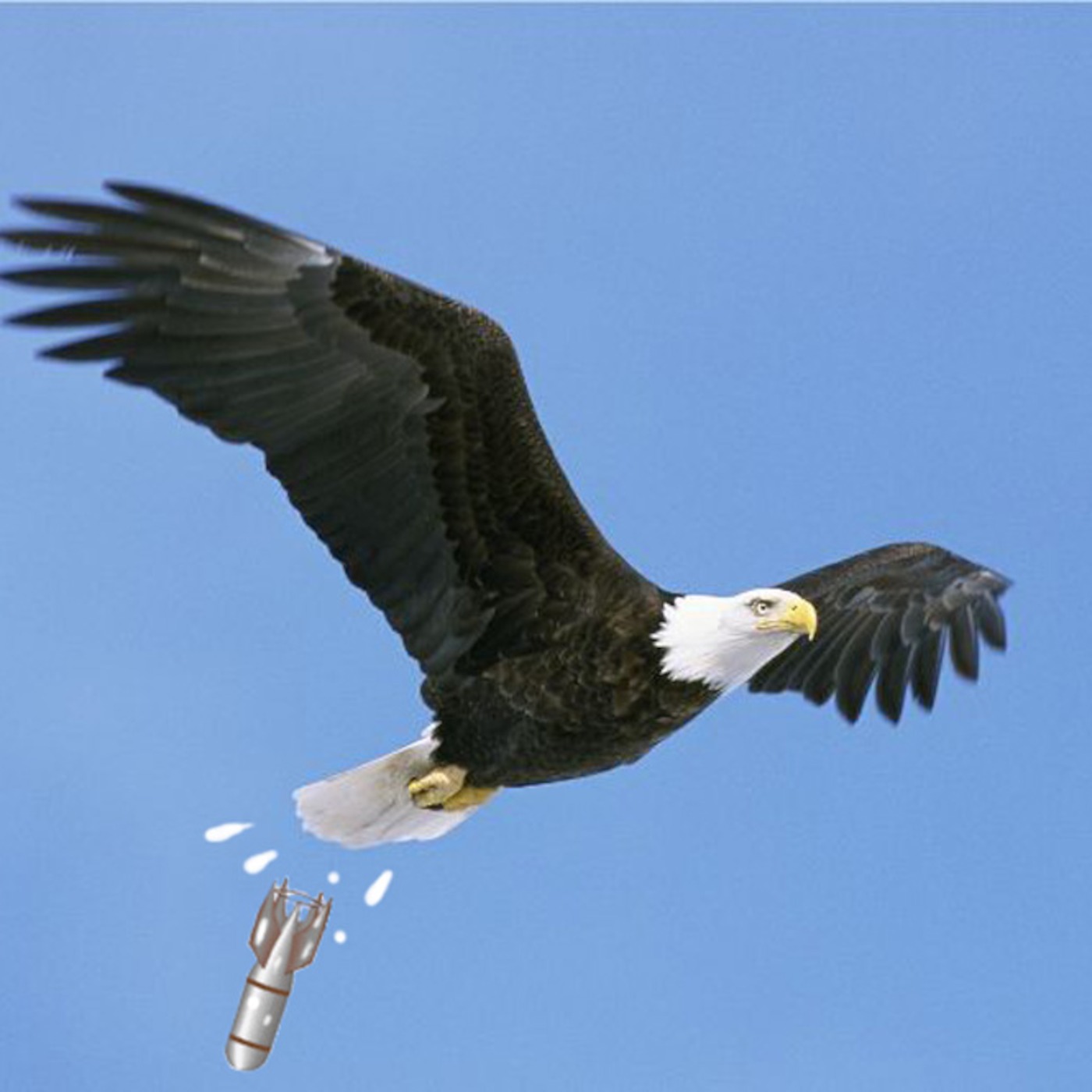 Exploding Shitbird