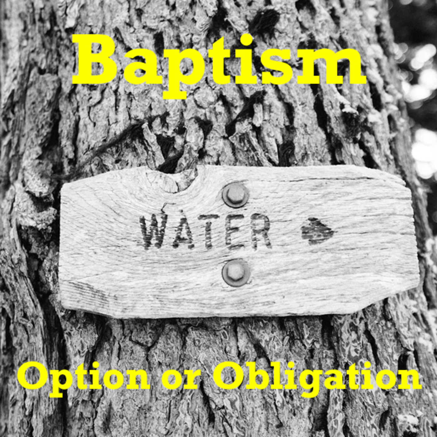 Episode 56: Baptism: Option or Obligation