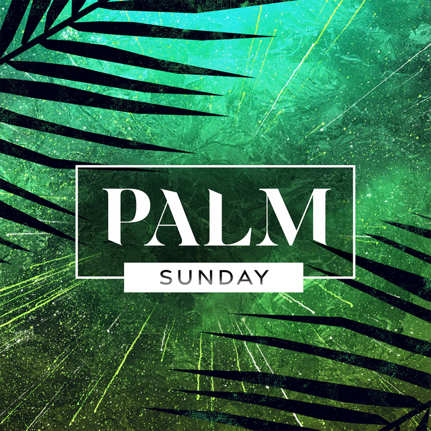 Grace Fellowship Sermon Archive