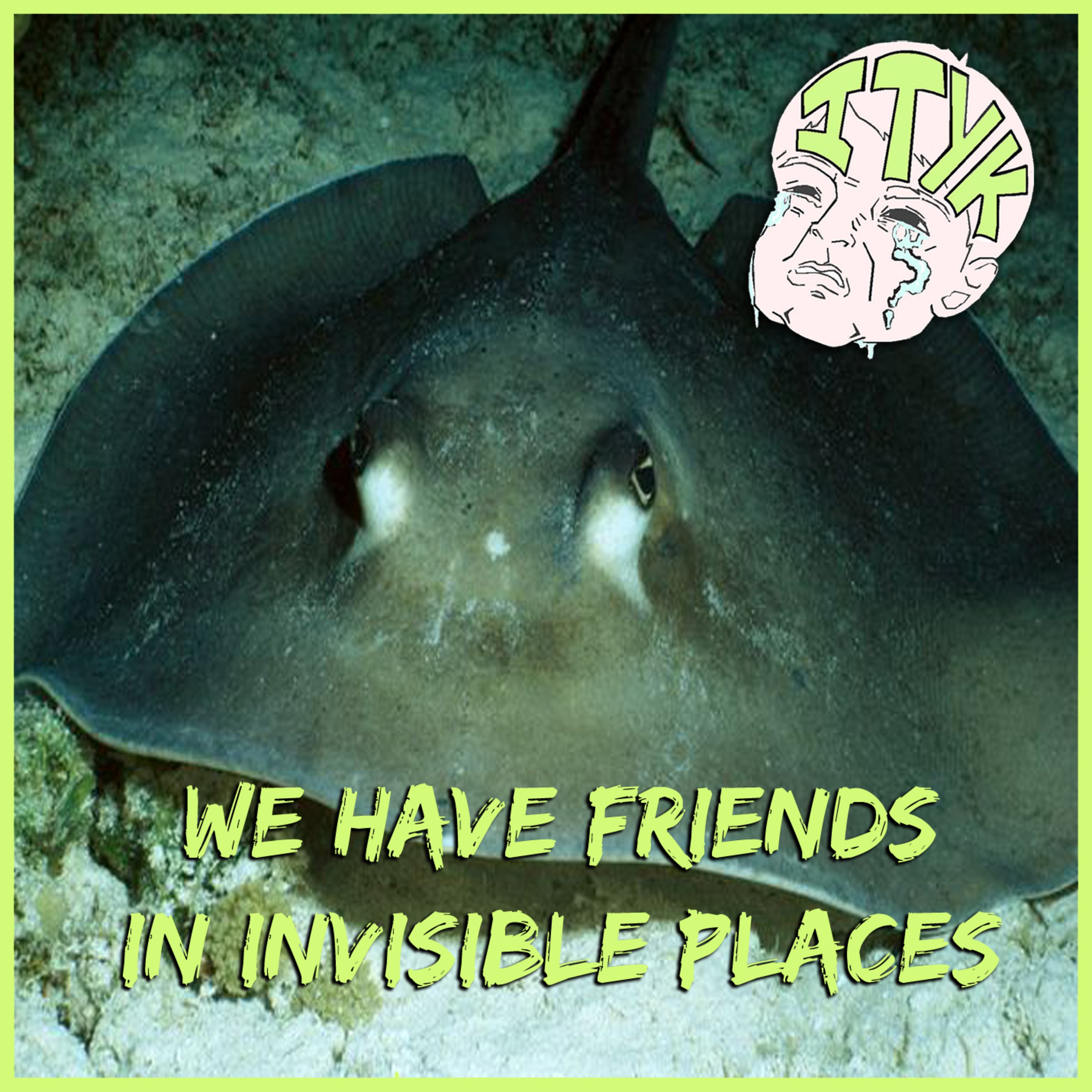Is That Your Kid? : 45 We Have Friends In Invisible Places episode artwork