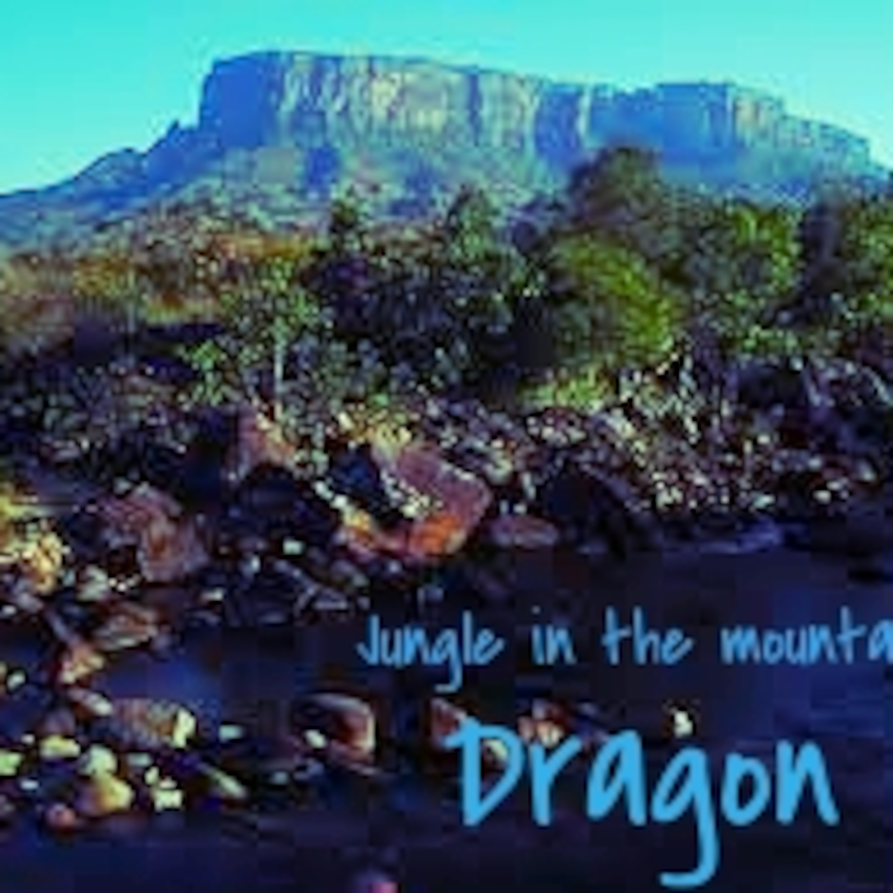 Dragon J. - Jungle in the mountains