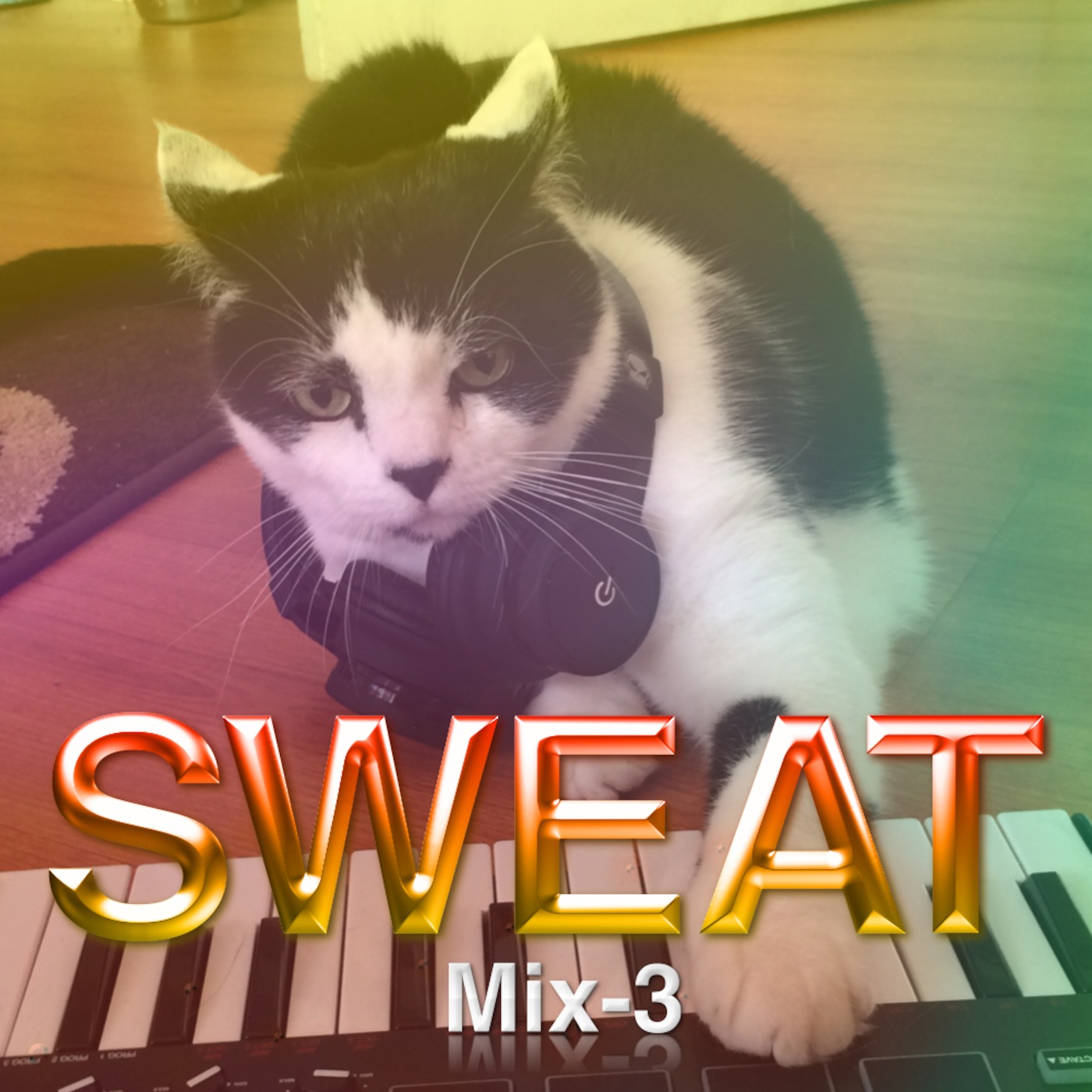 SWEAT MIX-3