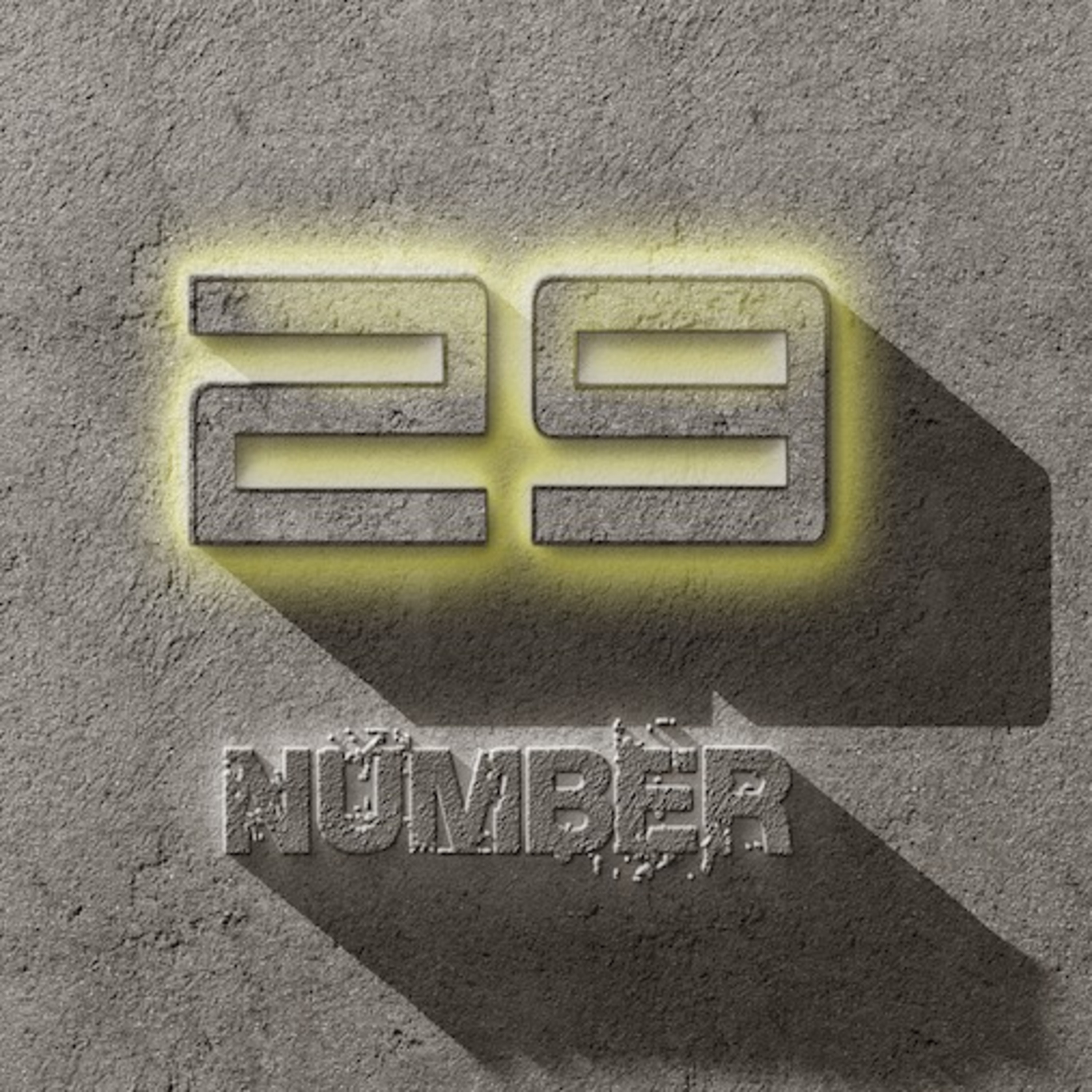 NUMBER 29